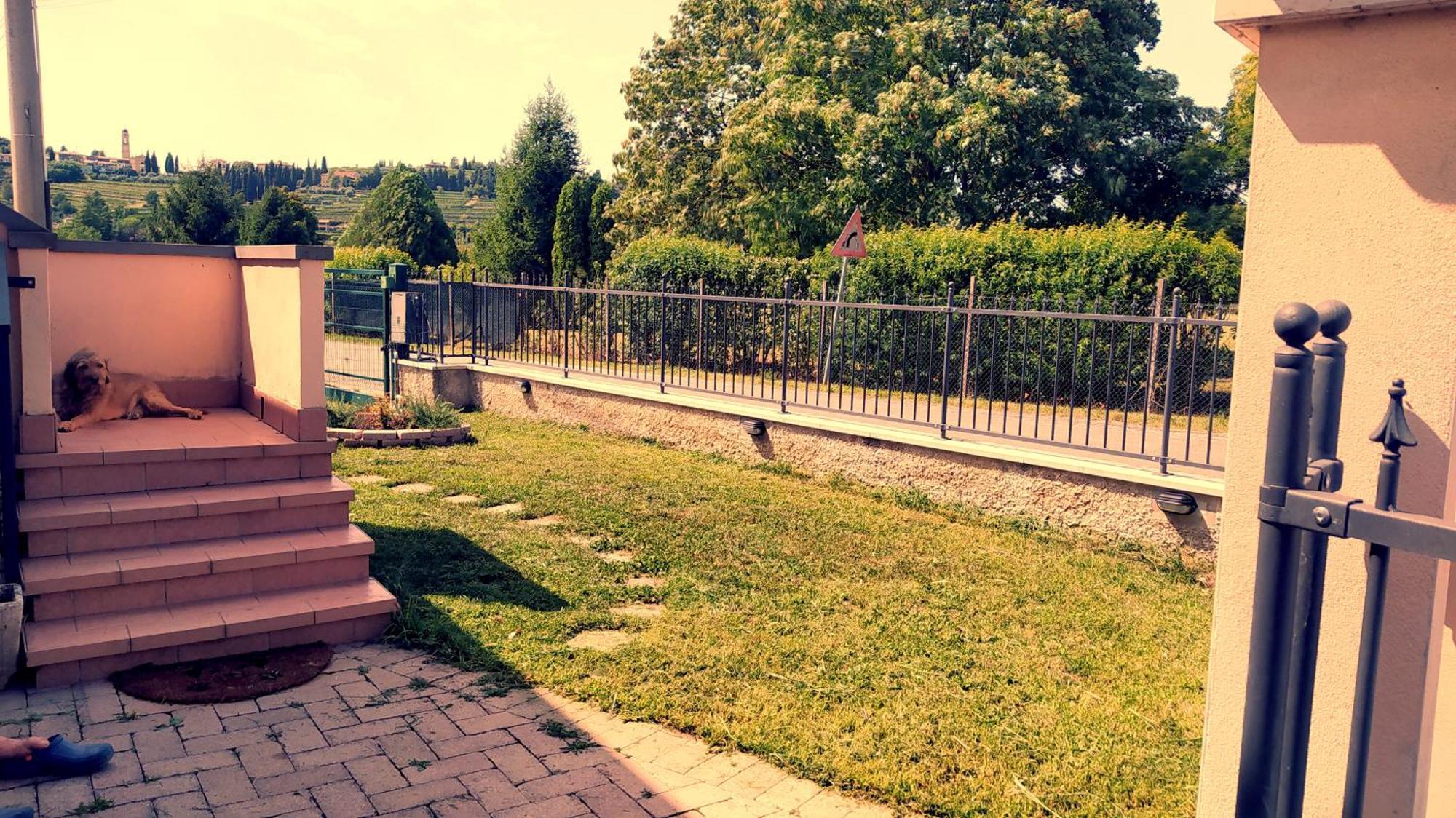 Apartament La Casa Di Nello Pedemonte Zewnętrze zdjęcie